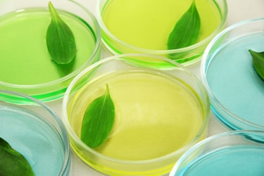 Green leaves in cell cultures