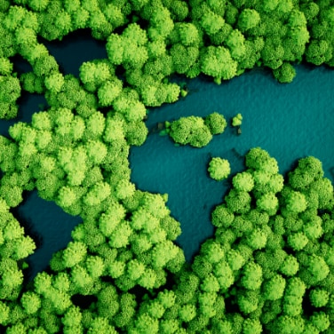 Trees and water shaped like a world map