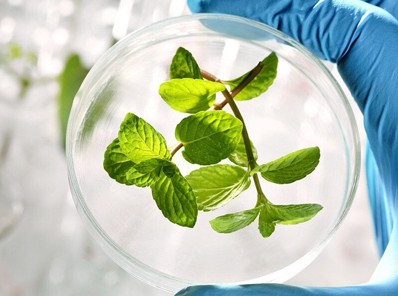 15050_visual_charity_v4 15050_visual_charity_v4