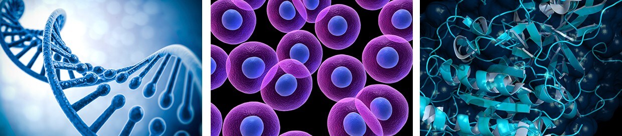 thermo-fisher-scientific-life-science thermo-fisher-scientific-life-science