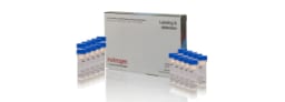 Cell Structure Reagents and Kits